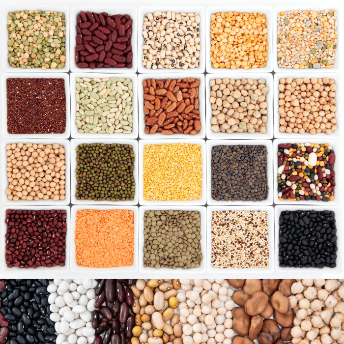 Variety of Pulses & Grains