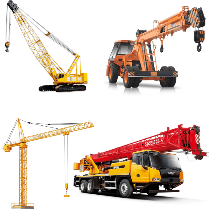 All Types of Cranes